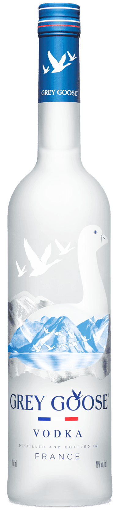 GREY GOOSE VODKA 750ML